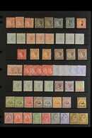 1867-1936 VALUABLE OLD TIME MINT COLLECTION Presented On Stock Pages That Includes 1867 No Wmk Set With 1d X3 (one Witho - Turcas Y Caicos