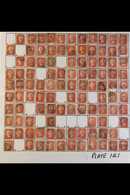 1864-79 PENNY RED PARTIAL PLATE RECONSTRUCTION PLATE 141 - A Fairly Complete Used Reconstruction With 210 Of The 240 Che - Other & Unclassified