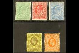 1911 KEVII Harrison Printing Perf 15x14 Complete Set, SG 279/86, Never Hinged Mint, Very Fresh. (5 Stamps) For More Imag - Non Classés
