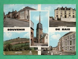 53 Mayenne Bais Carte Multivues - Bais