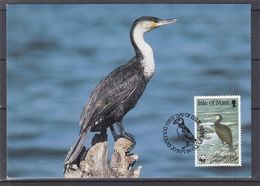 W.W.F. - Oiseaux - Cormoran - Man - Carte Postale De 1989 - Oblit Douglas - Briefe U. Dokumente