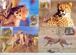 2003 IRAN WWF 4 Maxicards Asian Cheetah - Guepardo Asiatico - Big Cats (cats Of Prey)