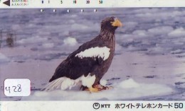 EAGLE - AIGLE - Adler - Arend - Águila - Bird - Oiseau (428) - Adler & Greifvögel