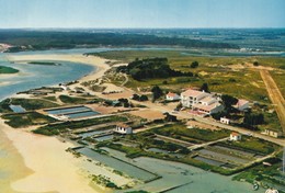 Carte TALMONT ST HILAIRE / PORT DE LA GUITTIERE / LE PARC A HUITRES - Talmont Saint Hilaire