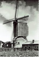 MEULEBEKE-HERENTMOLEN-MOULIN A VENT-MOLEN - Meulebeke