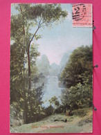 Visuel Très Peu Courant - Australie - Healesville - River Yarra - CPA 1907 - Scans Recto-verso - Otros & Sin Clasificación