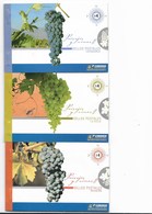 ARGENTINA 2007, LANDSCAPES AND WINES TOURISM 3 BOOKLETS MNH - Unused Stamps