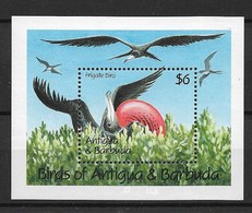 ANTIGUA & BARBUDA 1990 Birds "frigatebird" - Albatros