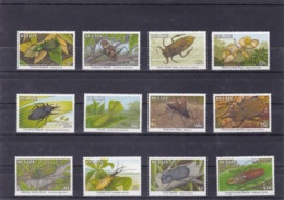 1996 - Belize - Insects - MNH - Sonstige