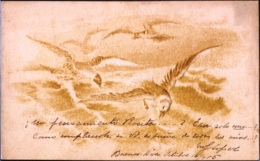 MARINE BIRDS-ALBATROSS IN FLIGHT-EMBOSSED-POST CARD-CIRCA-1905-RARE-FC-77 - Albatros