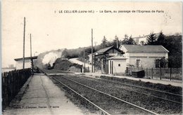 44 - Le CELLIER --  La Gare , Au Passage De L'express De Paris - Le Cellier