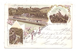 0-9903 PÖHL - RENTZSCHMÜHLE, Lithographie 1899, Bahnhof Rentzschmühle, Ruine Liebau, Partie Aus Dem Steinicht - Poehl