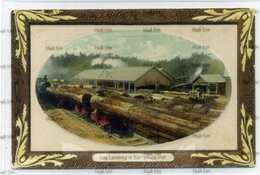 Western Australia Log Landing At Barrabupp Or Barrabup Mill 1900s-10s Postcard Timber Industry - Altri