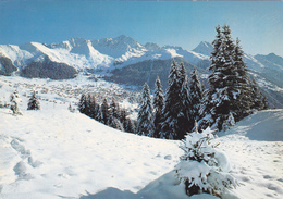 SUISSE,SCHWEIZ,SVIZZERA,SWITZERLAND,HELVETIA,SWISSES,VALAIS,VERBIER,HIVER - Sonstige & Ohne Zuordnung