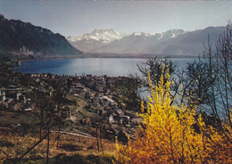 SUISSE,SWITZERLAND,SVIZZERA,SCHWEIZ,HELVETIA,SWISS ,VAUD,MONTREUX - Montreux