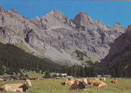 SUISSE, GRYON,vaud,district D'aigle,BEX,SOLALEX,VACHE - Gryon