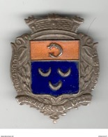 Badge émaillé Fédération Gymnastique Et Sportive Des Patronages De France - Bourgoin - 8 Juillet 1923 - Francia