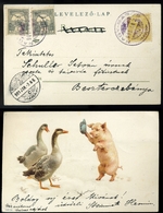 NAGYMAROS 1901. Malacos Képeslap, Szép Bérmentesítéssel, Ritka Lila Bélyegzéssel Besztercebányára Küldve  /  1901 Pig Vi - Used Stamps