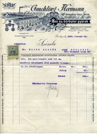 GMEHLING Hermann,  Bőrbútor Gyárfejléces, Céges Számla Budapest 1909. - Unclassified