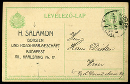 BUDAPEST 1914. Díjjegyes Levlap, H. Salamon Céges Nyomással - Used Stamps