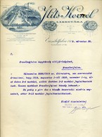 Iliits Kornél Lakgyár, Céges, Fejléces Levél , Budapest, Erzsébetfalva 1919. (Tanácsköztársaság, érdekes Tartalom) - Ohne Zuordnung