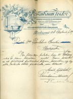 Rosenbaum Izidor , Fejléces,céges Levél  Budapest 1898. - Unclassified