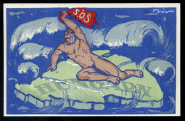 S.O.S. Irredenta Képeslap, Sign : Bíró  /  S.O.S. Irredente Vintage Pic. P.card Sign: Bíró - Ungarn