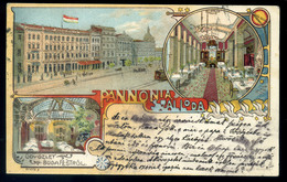 BUDAPEST 1899. Pannonia Szálloda, Litho Art Nouveau Képeslap Esztergomba Küldve,portó Bélyegzéssel  /  BUDAPEST 1899 Hot - Used Stamps