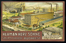 BUDAPEST 1910.cca. Herman Herz Söhne , Szalámi Gyár, Ritka Reklám Képeslap  /  BUDAPEST Ca 1910 Herman Herz Söhne, Salam - Religion & Esotericism