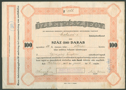 HALÁSZI 1924 . Üzletrészjegy - Unclassified