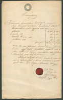 DÉG 1853. Dekoratív Szignettásdokumentum - Storia Postale