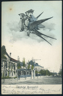 SOPRON 1905. Régi Képeslap  /  SOPRON 1905 Vintage Pic. P.card - Hungary