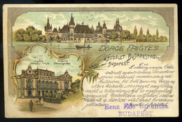 BUDAPEST 1901. Dörge Frigyes Bankház, Litho Képeslap, Céglyukasztásos Bélyeggel  /  BUDAPEST 1901 Frigyes Dörge Bankhous - Used Stamps