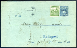BUDAPEST 1919. Futott Kiegészített Díjjegyes Rendőrségi , Kijelentést Igazoló Szelvény  /  1919 Uprated Stationery Polic - Usati