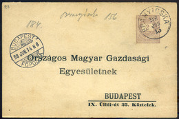 BRANYICSKA 1898. Hivatalos, Négyrészes Díjjegyes Levelezőlap Budapestre Küldve  /  1898 Official 4 Part Stationery P.car - Used Stamps