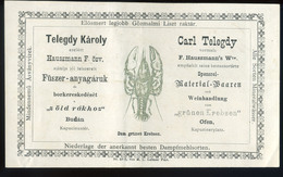 BUDAPEST 1874. Telegdy Károly Fűszer-anyagűrú, Dekoratív Régi Számla - Unclassified