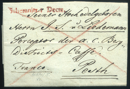 1831. Szép, Portós Levél Tartalommal Piros Schemnitz Bélyegzéssel Pestre Küldve, SLOVAKIA HUNGARY - ...-1850 Vorphilatelie