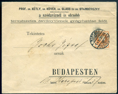 BUDAPEST 1899. Dekoratív Helyi Nyomtatvány Hírlapbélyeggel Bérmentesítve. R! - Gebraucht