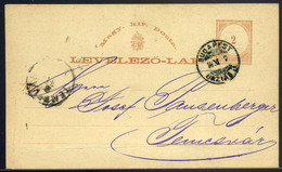 1876. Díjjegyes Levlap, Szép Budapest-Bázias Mozgóposta Bélyegzéssel  /  1876 Stationery P.card Budapest-Bázias TPO Pmk - Usati