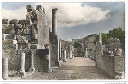 CPA Coloniale Algérie - Tebessa - Ruines Romaines De La Basilique Chrétienne - Circulée En 1957 - Tebessa