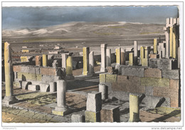 CPA Coloniale Algérie - Tebessa - Vue Des Ruines Romaines De La Basilique "La Chapelle" - Circulée En 1957 - Tebessa