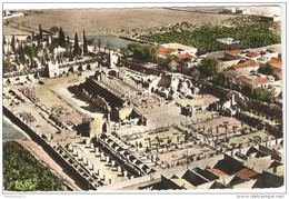 CPA Coloniale Algérie - Tebessa - Vue Aérienne Sur Les Ruines Romaines De La Basilique - Circulée En 1956 - Tebessa