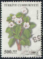 Turquie 2003 Yv. N°3077 - Cydonia Oblonga - Oblitéré - Gebraucht