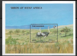 GAMBIA 1985 Birds, Ostriches - Straussen- Und Laufvögel