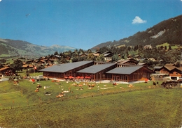 Gstaad Hallenbad - Gstaad