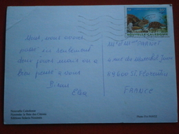 NOUVELLE CALEDONIE NEW CALEDONIA TIMBRE LETTRE ENVELOPPE CARTE NOUMEA CACHET OBLITERATION - Lettres & Documents