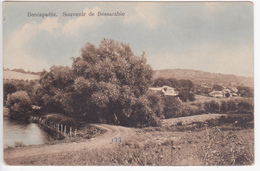 Moldova  Moldavie  Moldawien , Moldavia , Souvenir De Bessarabie ,  Basarabia , Postcard - Moldavia