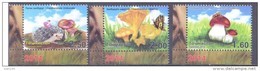 2014. Tajikistan, Mushrooms, 3v Perforated, Mint/** - Tayikistán