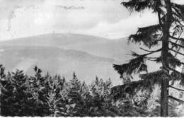 Braunlage Blick Vom Wurmberg Zum Brocken 1962 - Braunlage