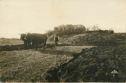 46 Gourdon Attelage Agraire Agriculture Carte Photo - Gourdon